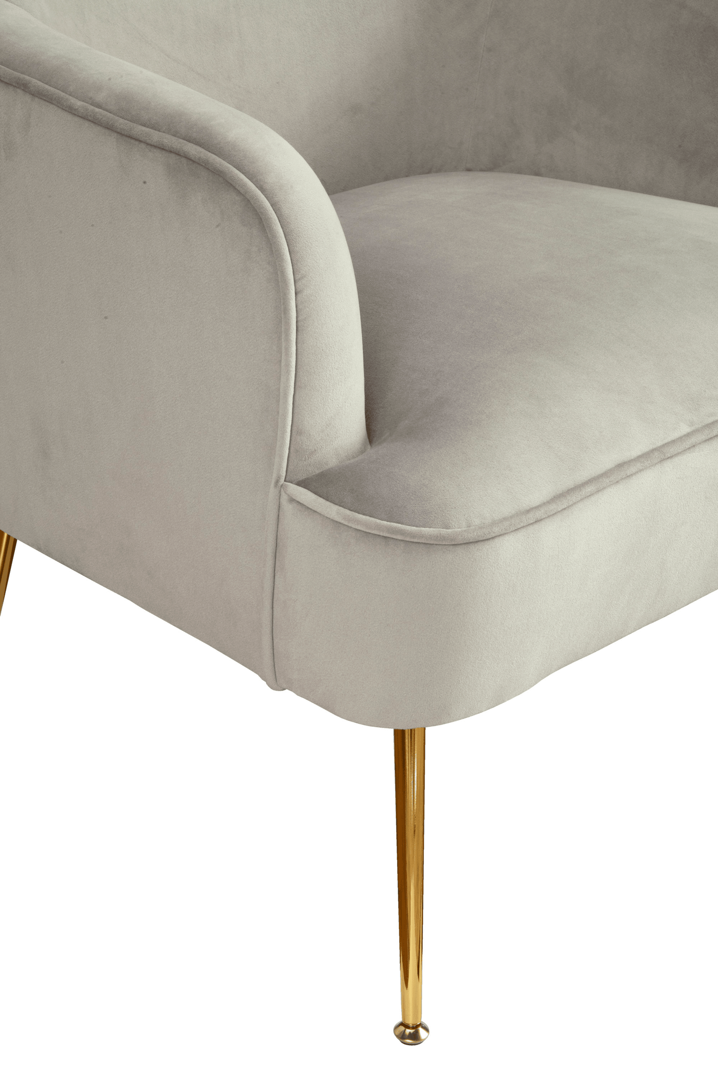 Rebecca Velvet Leisure Chair with Gold Legs