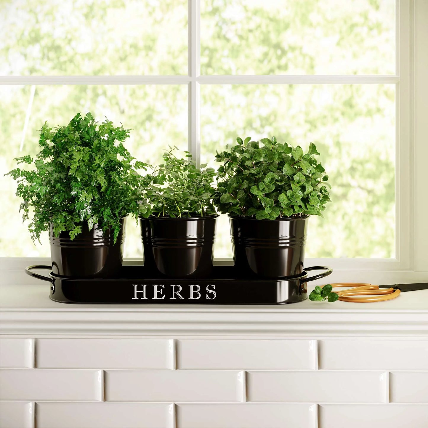 Farmhouse Herb Garden Planter Indoor Planter Set with Tray or Outdoor Apartment Window Planter Box, Windowsill Planter Box, Indoor Herb Planter Garden Pots Herb Pots, Black, Set/3